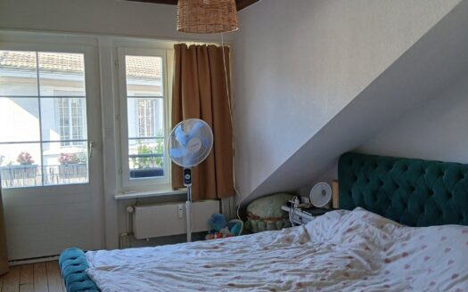 Splendide 2.5 pces en duplex au coeur de la ville