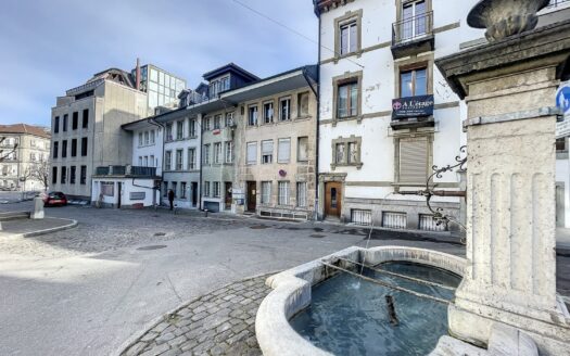 Splendide 2.5 pces en duplex au coeur de la ville
