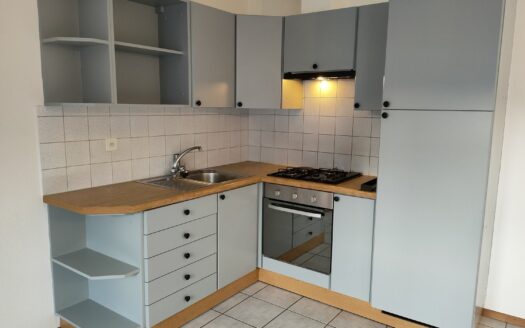 Appartement 2.5 pièces au rez à Bex